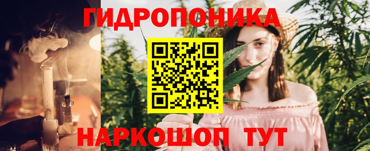 Каннабис семена  Вход с VPN  Канабис SATIVA & INDICA  Коммунар 